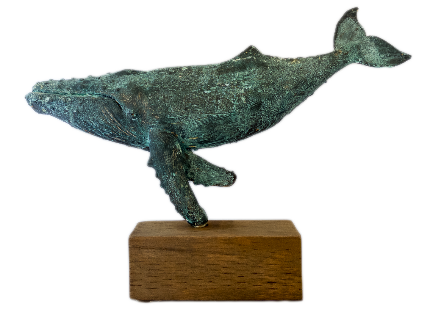 Humpback Whale - Free Standing