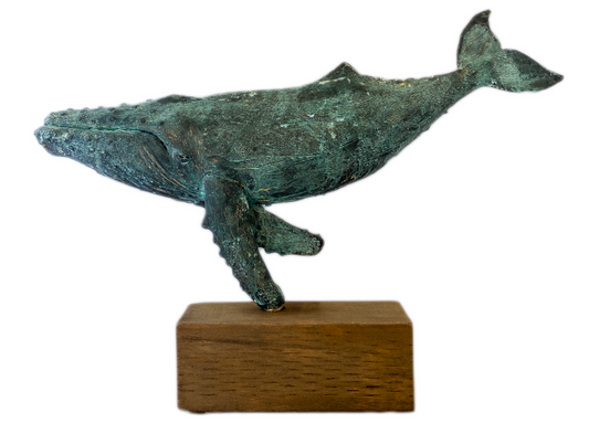 Humpback Whale - Free Standing