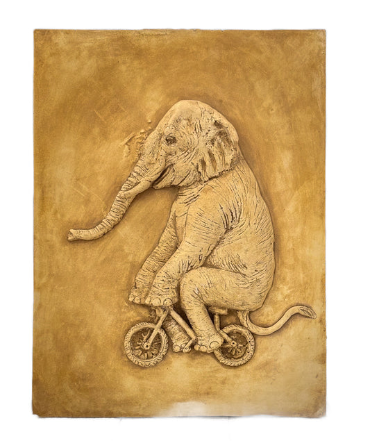 Not so easy rider